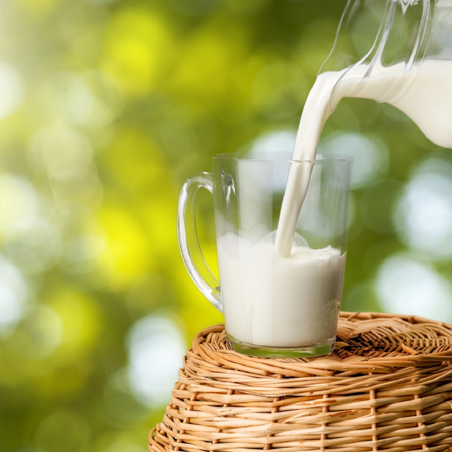 Milk is a nutrient-dense food because it has a relatively high number ...